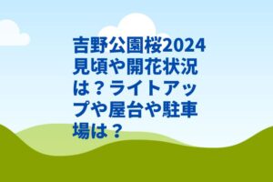 吉野公園桜2024見頃や開花状況は？ライトアップや屋台や駐車場は？