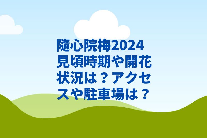 隨心院梅2024見頃時期や開花状況は？駐車場やアクセスは？