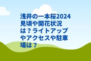浅井の一本桜2024見頃や開花状況は？ライトアップやアクセスや駐車場は？
