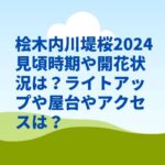 桧木内川堤桜2024見頃時期や開花状況は？ライトアップや屋台やアクセスは？