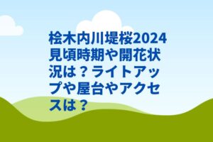 桧木内川堤桜2024見頃時期や開花状況は？ライトアップや屋台やアクセスは？
