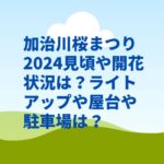 加治川桜まつり2024見頃や開花状況は？ライトアップや屋台や駐車場は？
