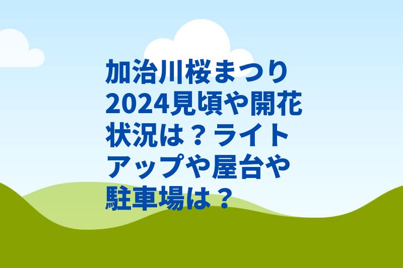 加治川桜まつり2024見頃や開花状況は？ライトアップや屋台や駐車場は？
