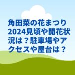 角田菜の花まつり2024見頃や開花状況は？屋台や駐車場やアクセスは？