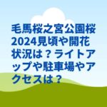 毛馬桜之宮公園桜2024見頃や開花状況は？ライトアップや駐車場やアクセスは？