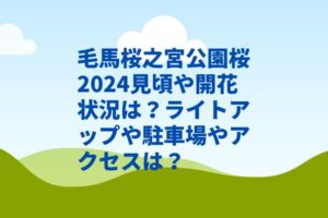 毛馬桜之宮公園桜2024見頃や開花状況は？ライトアップや駐車場やアクセスは？
