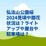 弘法山公園桜2024見頃や開花状況は？ライトアップや屋台や駐車場は？