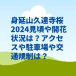 身延山久遠寺桜2024見頃や開花状況は？アクセスやシャトルバス・交通規制は？