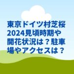 東京ドイツ村芝桜2024見頃時期や開花状況は？駐車場やアクセスは？