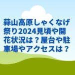 蒜山高原しゃくなげ祭り2024見頃や開花状況は？屋台や駐車場やアクセスは？