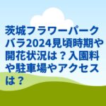 茨城フラワーパークバラ2024見頃時期や開花状況は？入園料や駐車場やアクセスは？