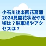 小石川後楽園花菖蒲2024見開花状況や見頃は？駐車場やアクセスは？