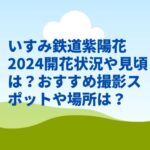 いすみ鉄道紫陽花2024開花状況や見頃は？おすすめ撮影スポットや場所は？