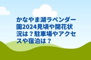 かなやま湖ラベンダー園2024見頃や開花状況は？宿泊や駐車場やアクセスは？