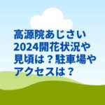 高源院あじさい2024開花状況や見頃は？駐車場やアクセスは？