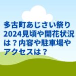 多古町あじさい祭り2024見頃や開花状況は？内容や駐車場やアクセスは？