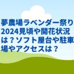 夢農場ラベンダー祭り2024見頃や開花状況は？ソフト屋台や駐車場やアクセスは？