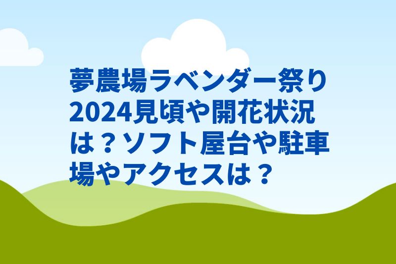 夢農場ラベンダー祭り2024見頃や開花状況は?ソフト屋台や駐車場やアクセスは?