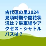 古代蓮の里2024見頃時期や開花状況は？駐車場やアクセス・シャトルバスは？