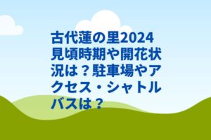 古代蓮の里2024見頃時期や開花状況は？駐車場やアクセス・シャトルバスは？