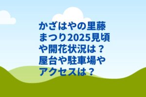 かざはやの里藤まつり2025見頃や開花状況は？屋台や駐車場やアクセスは？