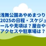 浅舞公園あやめまつり2025の日程・スケジュールや見頃は？屋台やアクセスや駐車場は？
