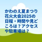 かわのえ夏まつり花火大会2025の日程・時間や見どころは？アクセスや駐車場は？