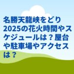 名勝天龍峡をどり2025の花火時間やスケジュールは？屋台や駐車場やアクセスは？