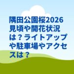 隅田公園桜2026見頃や開花状況は？ライトアップや駐車場やアクセスは？
