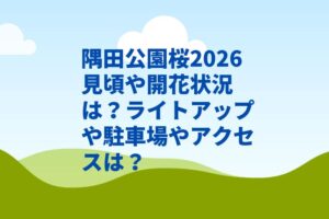隅田公園桜2026見頃や開花状況は？ライトアップや駐車場やアクセスは？