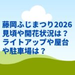 藤岡ふじまつり2026見頃や開花状況は？ライトアップや屋台や駐車場は？