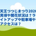 天王つつじまつり2026見頃や開花状況は？ライトアップや駐車場やアクセスは？